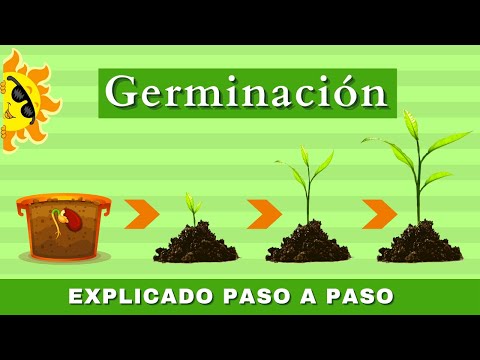 ¿qué significa germinar?