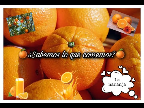 Características de las naranjas