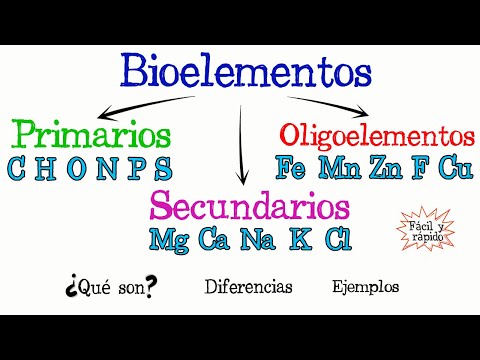 Ejemplos de bioelementos
