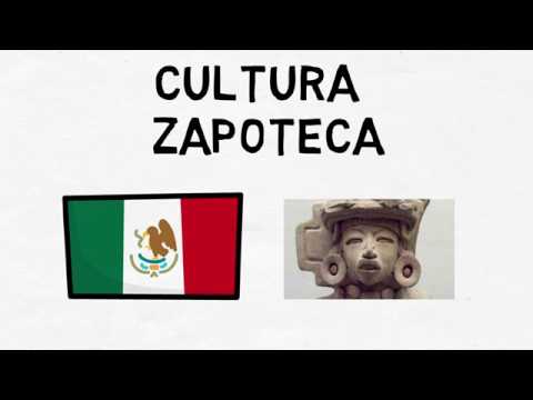 Características del cultivo de zapoteca