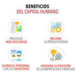 Gestión de recursos humanos: el capital humano