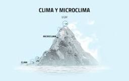 ¿Qué son condiciones Microclimaticas?