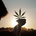 7 Actores Legendarios Que Consumen Cannabis