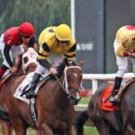Las carreras de caballos Bankroll Consejos de gestión para recordar